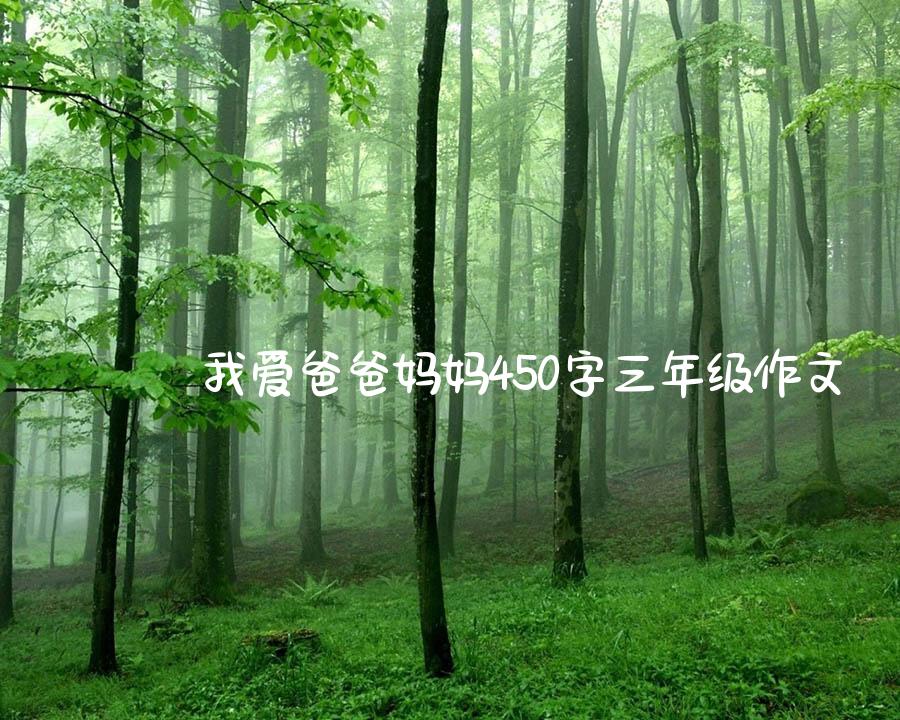 我爱爸爸妈妈450字三年级作文