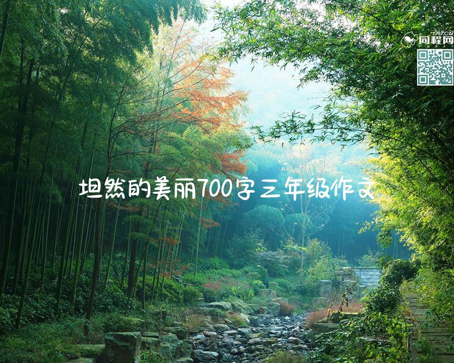 坦然的美丽700字三年级作文