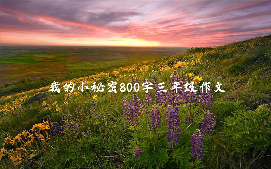 我的小秘密800字三年级作文