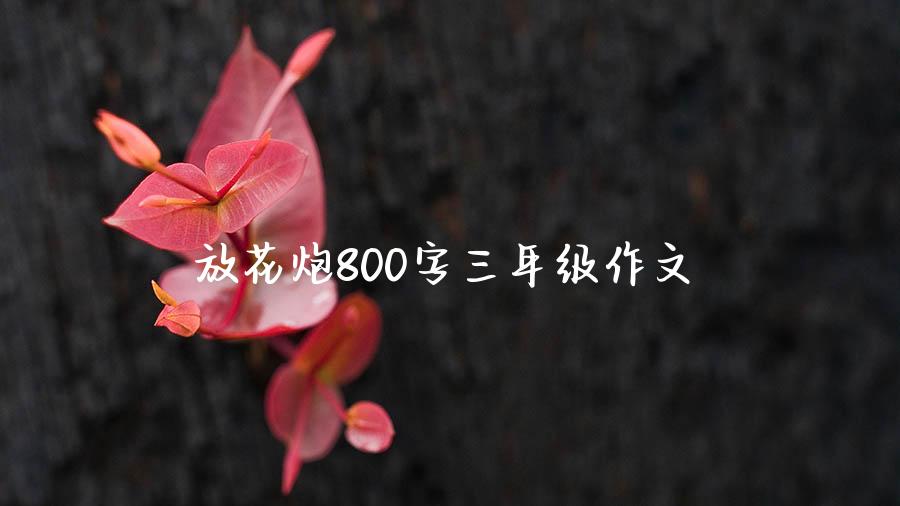 放花炮800字三年级作文