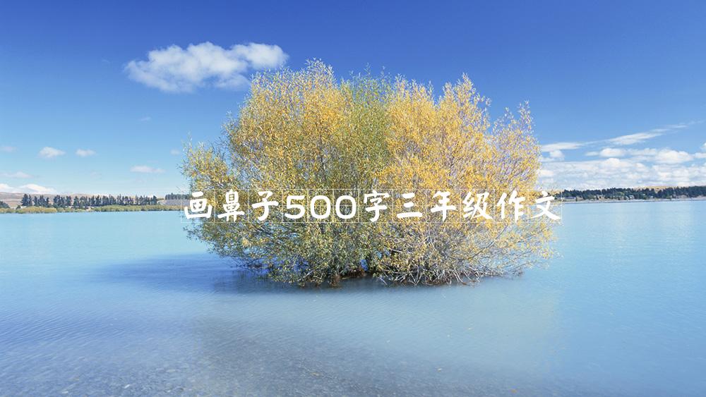 画鼻子500字三年级作文