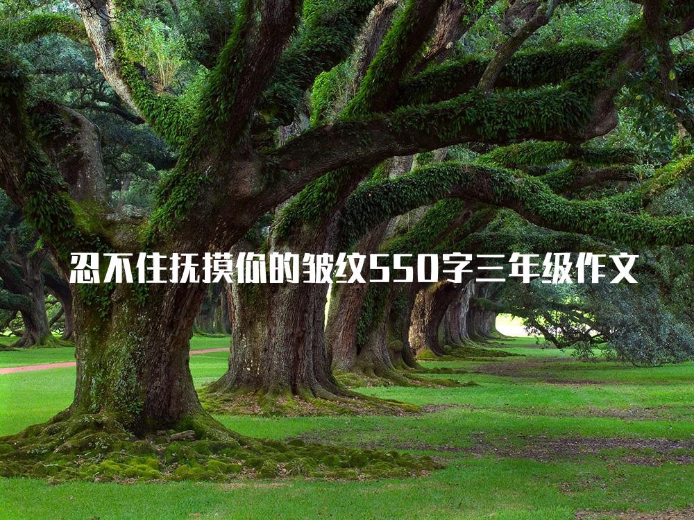 忍不住抚摸你的皱纹550字三年级作文