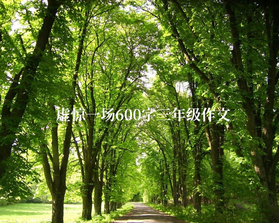 虚惊一场600字三年级作文