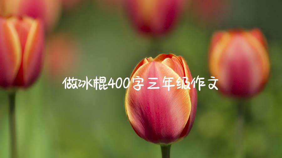 做冰棍400字三年级作文