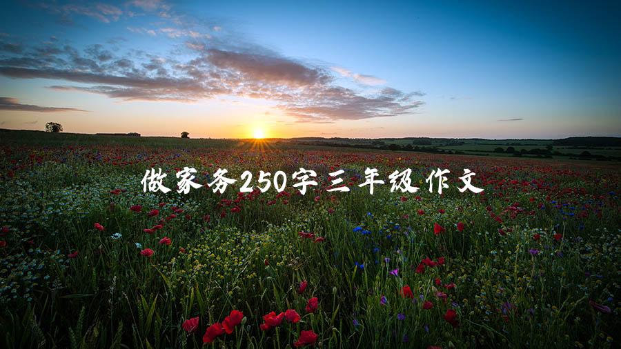 做家务250字三年级作文