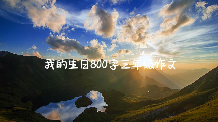 我的生日800字三年级作文