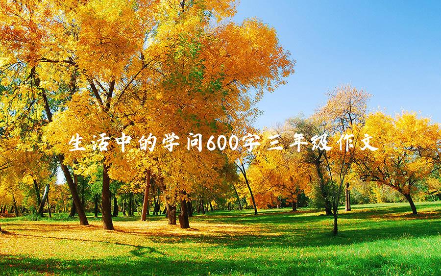 生活中的学问600字三年级作文