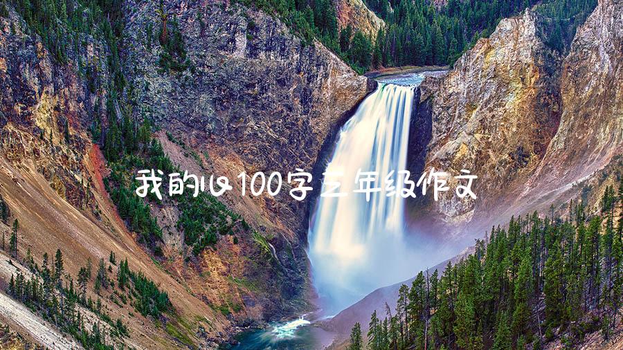 我的心100字三年级作文