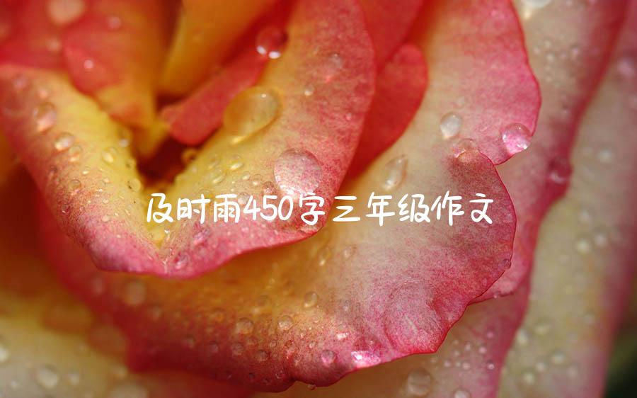 及时雨450字三年级作文