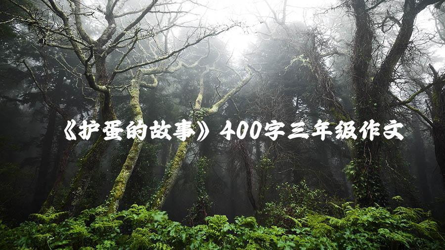 《护蛋的故事》400字三年级作文