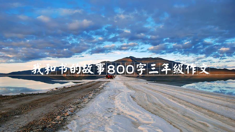 我和书的故事800字三年级作文