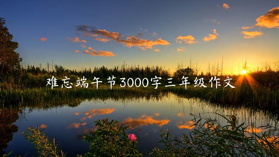 难忘端午节3000字三年级作文