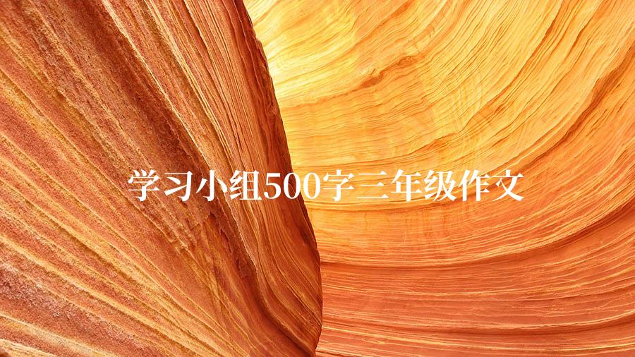 学习小组500字三年级作文