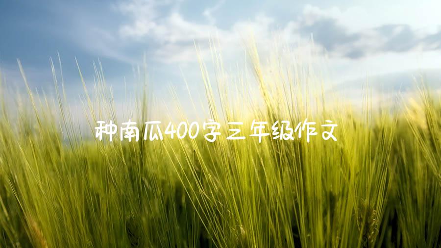 种南瓜400字三年级作文