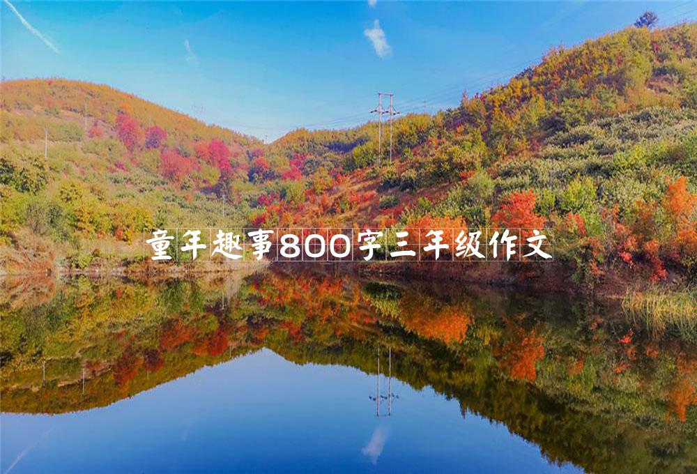 童年趣事800字三年级作文