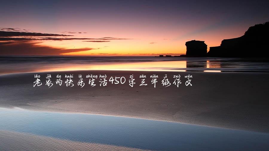 老家的快乐生活450字三年级作文