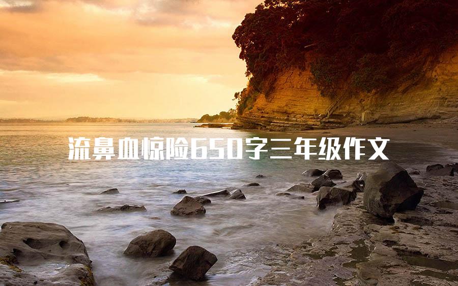 流鼻血惊险650字三年级作文