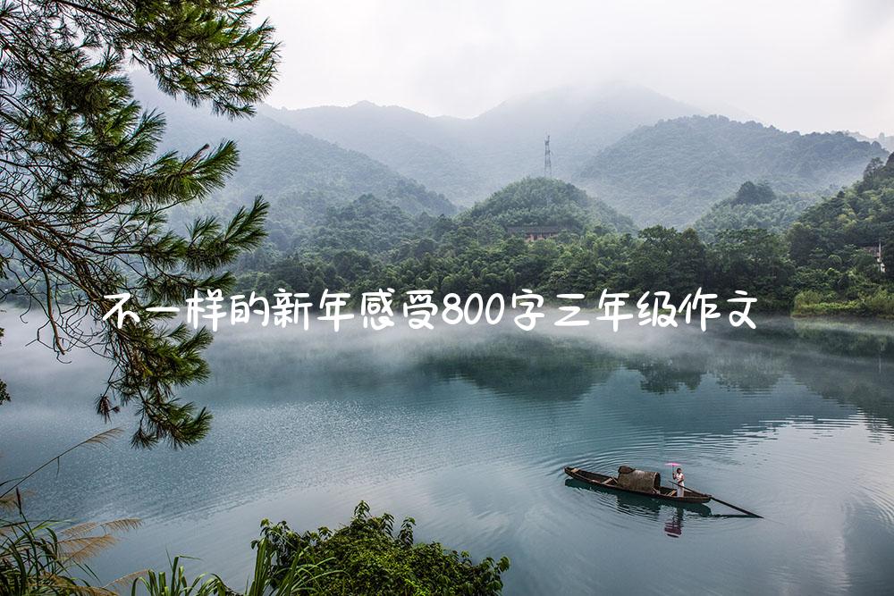 不一样的新年感受800字三年级作文