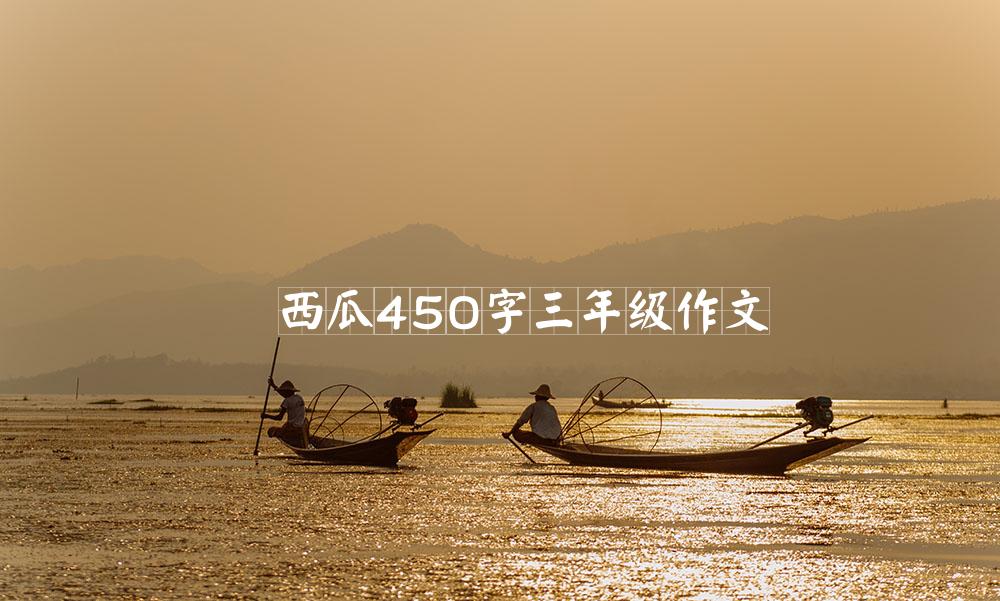 西瓜450字三年级作文