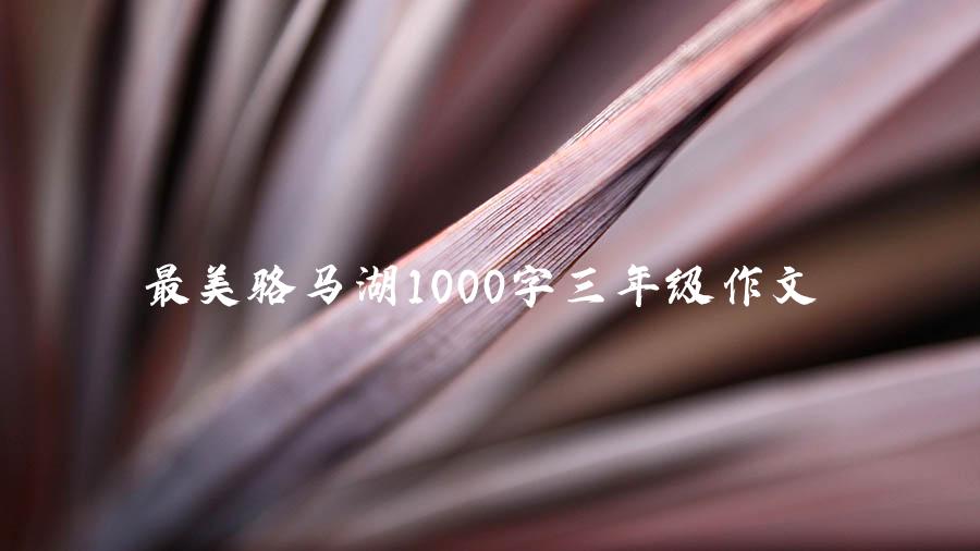 最美骆马湖1000字三年级作文