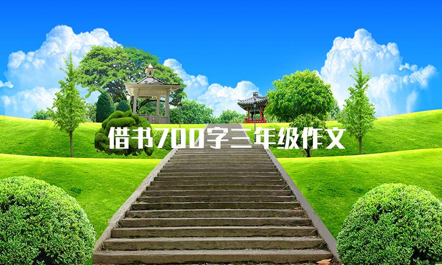 借书700字三年级作文