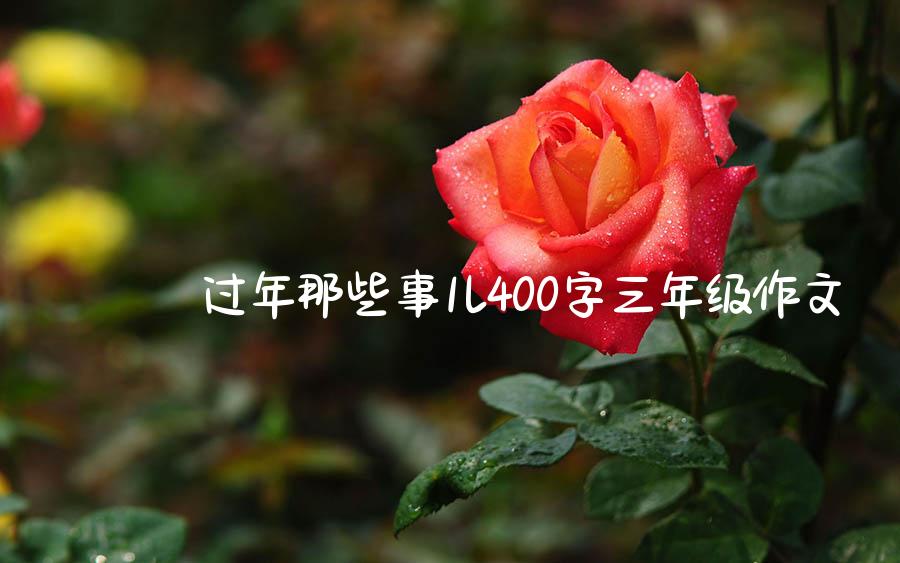 过年那些事儿400字三年级作文