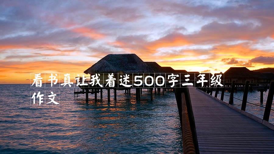 看书真让我着迷500字三年级作文