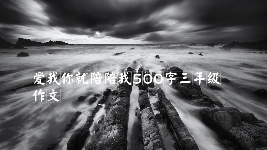 爱我你就陪陪我500字三年级作文