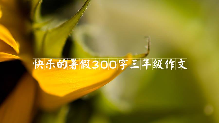 快乐的暑假300字三年级作文