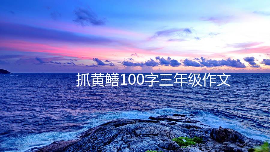 抓黄鳝100字三年级作文