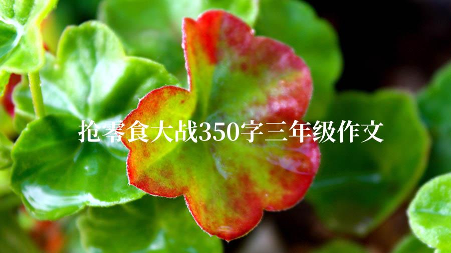 抢零食大战350字三年级作文