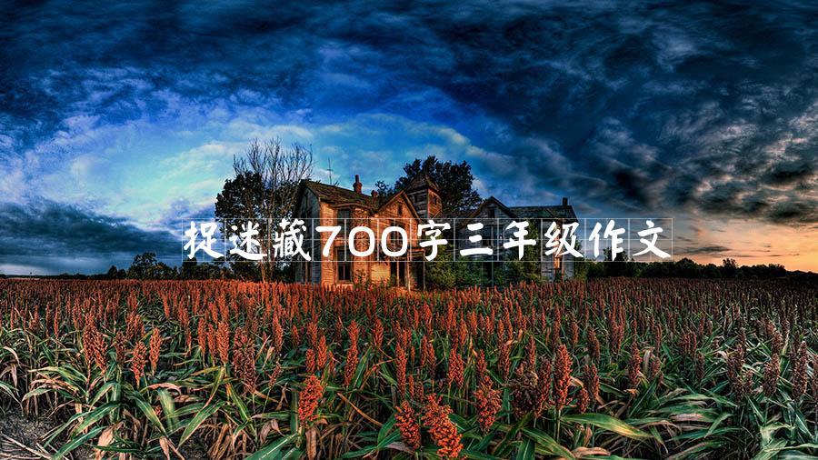 捉迷藏700字三年级作文