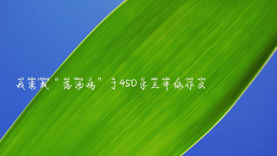 我变成“落汤鸡”了450字三年级作文