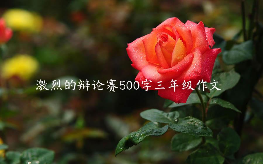 激烈的辩论赛500字三年级作文