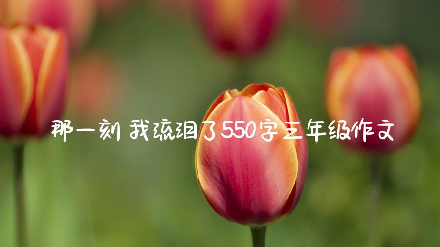 那一刻 我流泪了550字三年级作文