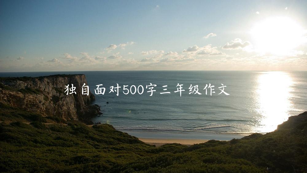 独自面对500字三年级作文