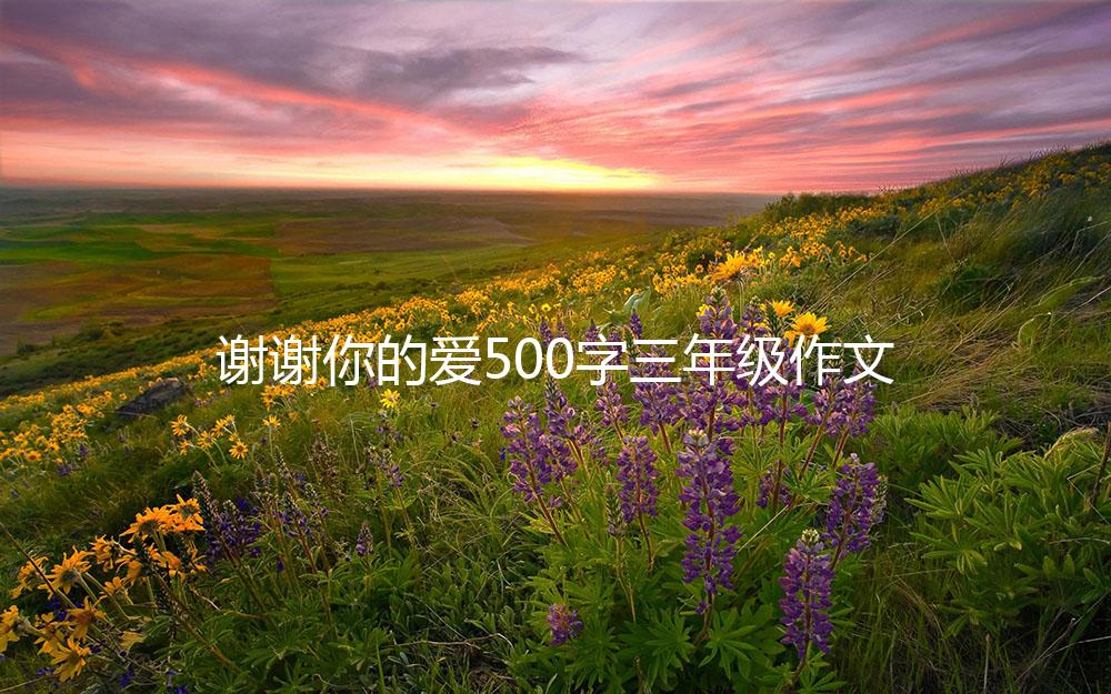 谢谢你的爱500字三年级作文