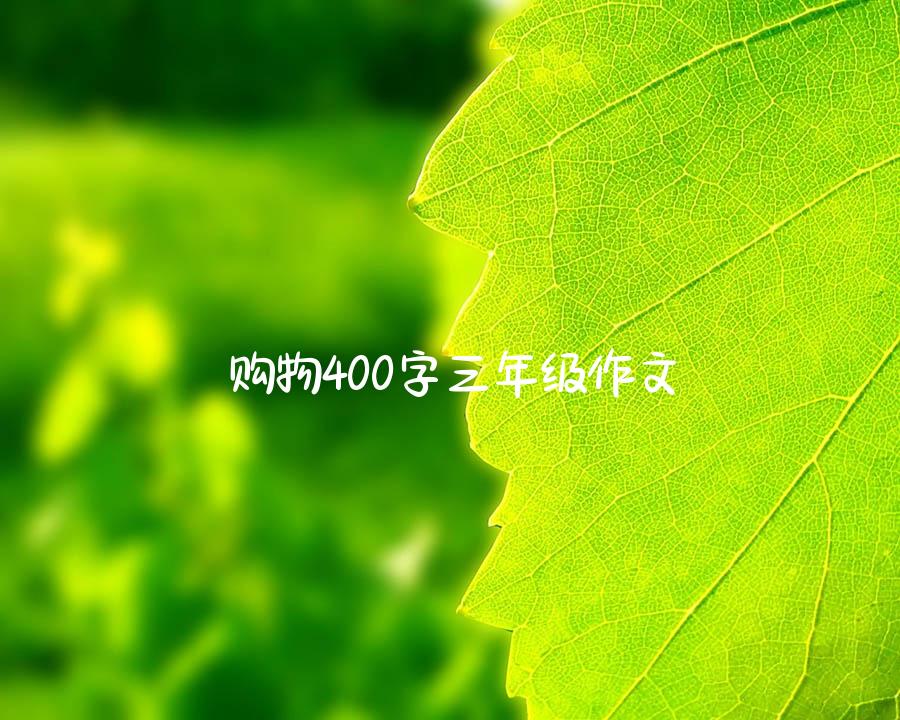 购物400字三年级作文