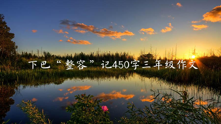 下巴“整容”记450字三年级作文