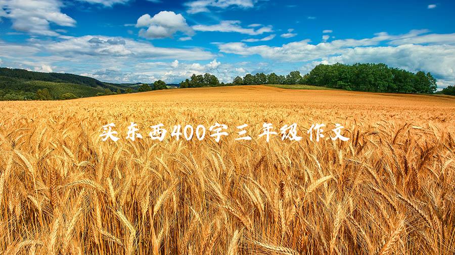 买东西400字三年级作文