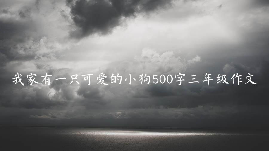 我家有一只可爱的小狗500字三年级作文