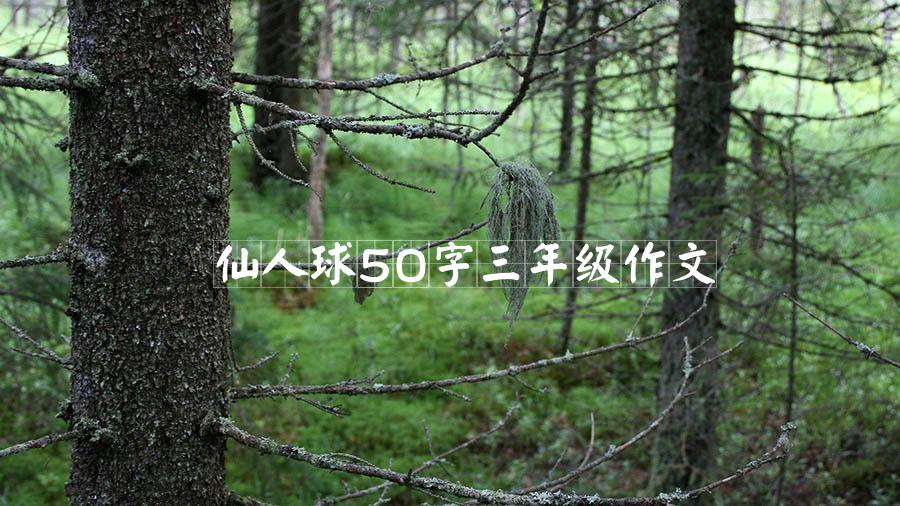 仙人球50字三年级作文