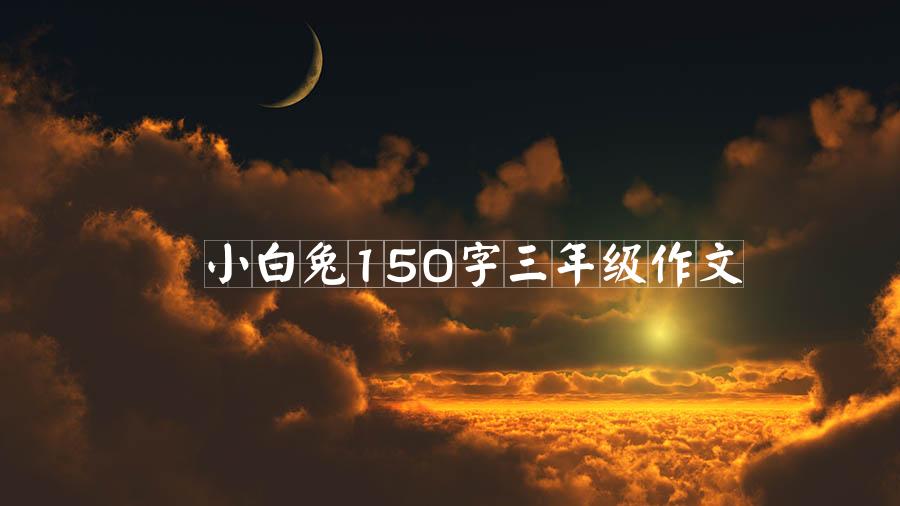 小白兔150字三年级作文