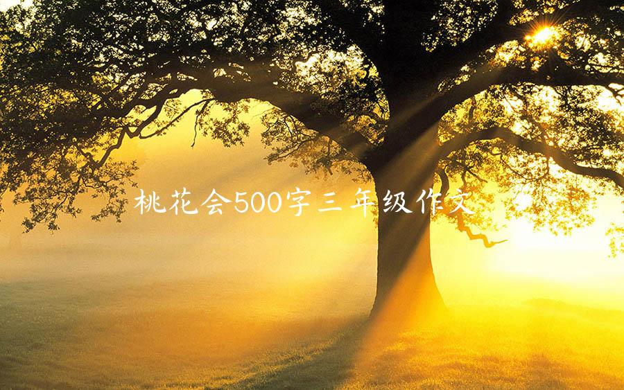 桃花会500字三年级作文