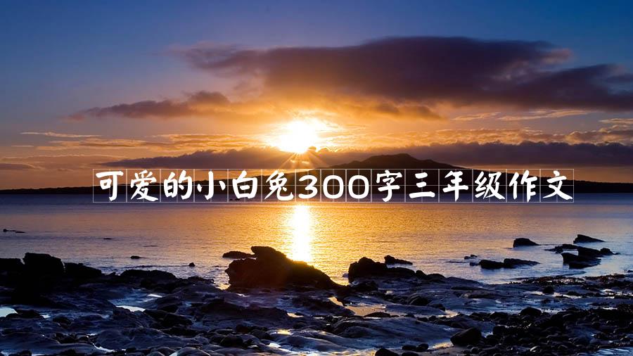 可爱的小白兔300字三年级作文