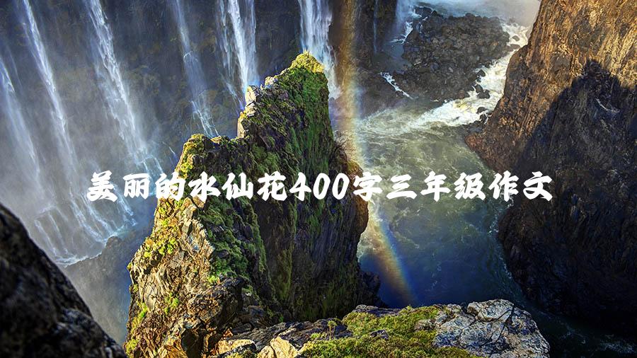 美丽的水仙花400字三年级作文