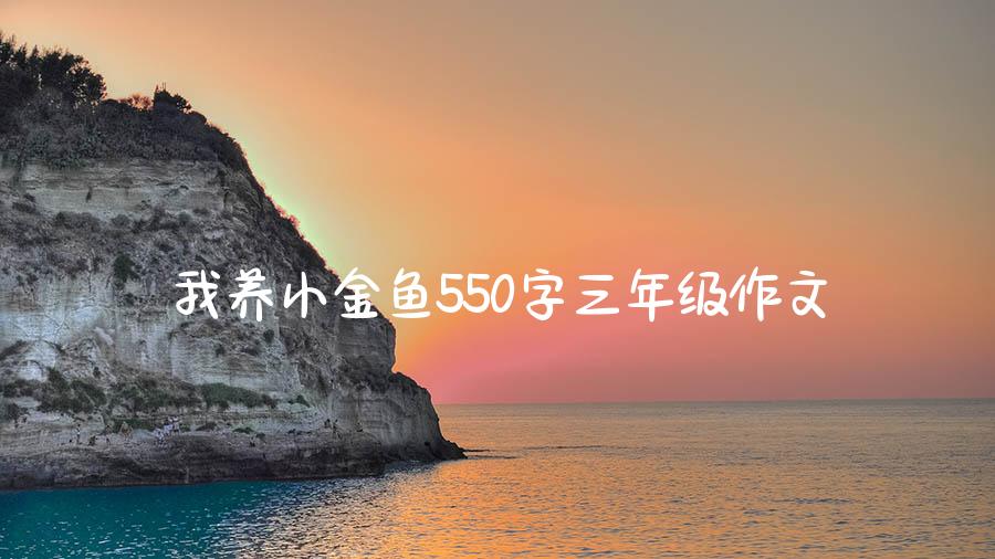 我养小金鱼550字三年级作文