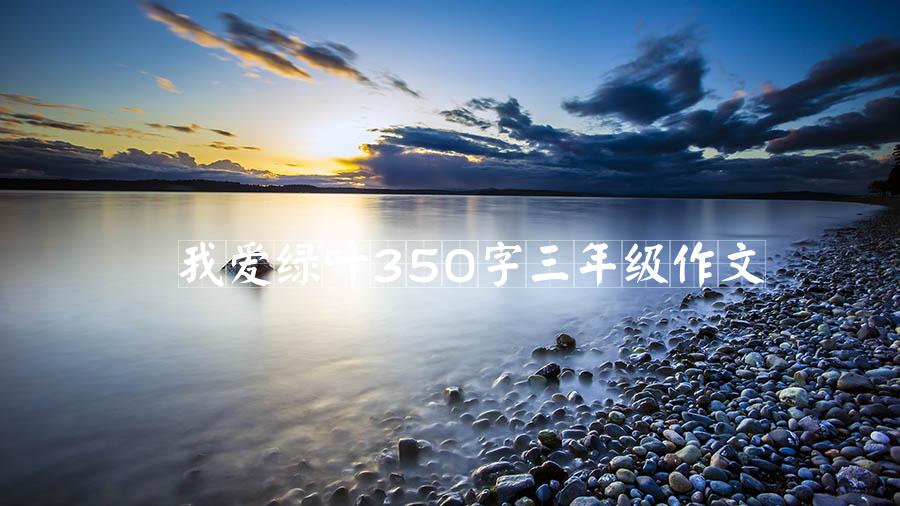 我爱绿叶350字三年级作文