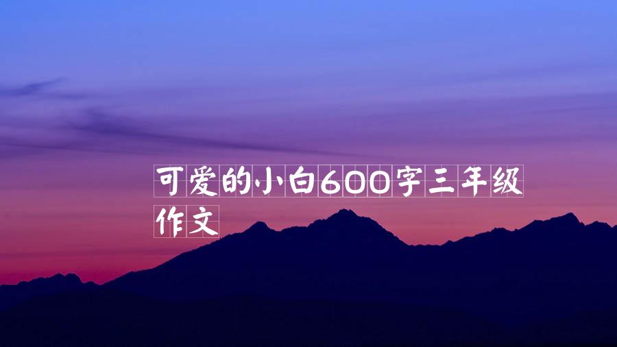 可爱的小白600字三年级作文