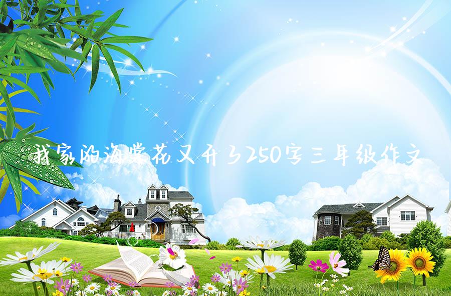 我家的海棠花又开了250字三年级作文